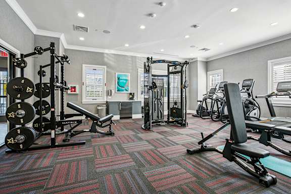 A gym with a variety of equipment including a squat rack, bench press, and a treadmill.