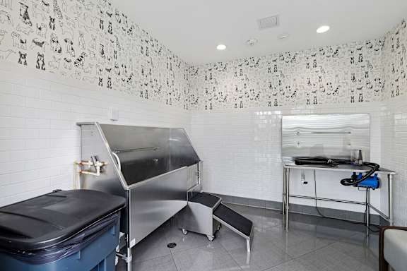 Pet wash station