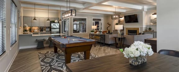 Billiards within the game lounge with plank flooring and a paisley patterned rug at Chesapeake Ridge, North East