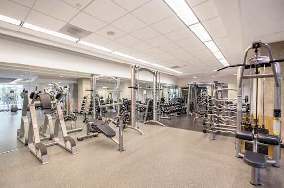 A spacious gym with a variety of equipment.