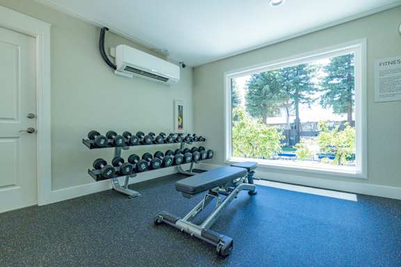 A room with a window showing trees outside and a bench and weights in the room.