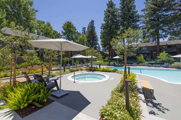 A pool surrounded by trees and plants.