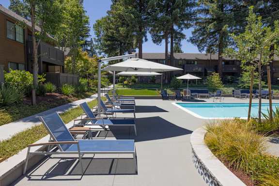 A sunny day at the pool with chairs and umbrellas.