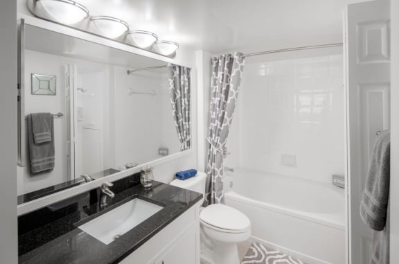 a bathroom with a sink and a toilet and a shower