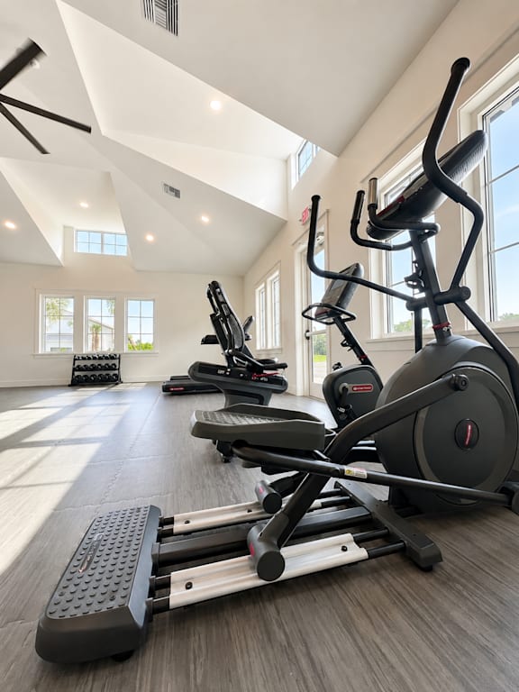 A row of elliptical machines are lined up in a spacious gym.