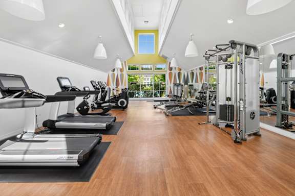 A gym with treadmills, elliptical machines, and other exercise equipment.
