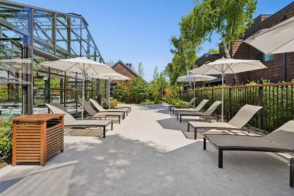 A sunny day at the outdoor seating area with umbrellas and chairs.