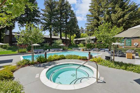 A hot tub sits in the middle of a pool surrounded by trees.