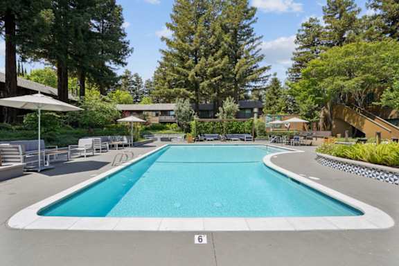 A large outdoor swimming pool surrounded by trees and a building in the background.