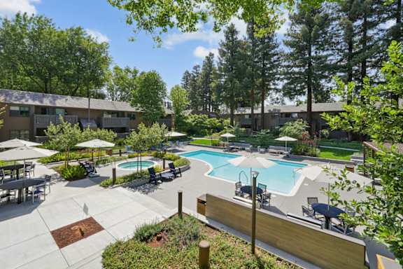 A large outdoor swimming pool surrounded by lounge chairs and umbrellas.