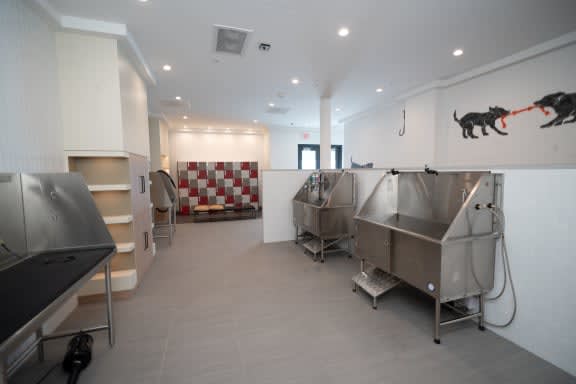 a room filled with stainless steel sinks and a counter top