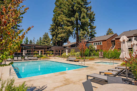 A large outdoor swimming pool surrounded by lounge chairs and trees.