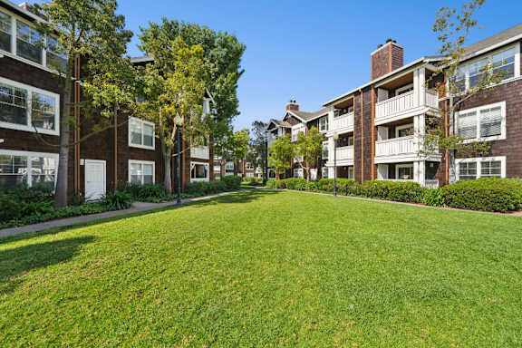 A sunny day at a grassy courtyard surrounded by apartment buildings.