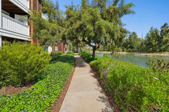 A concrete walkway runs alongside a river and is bordered by green shrubbery.
