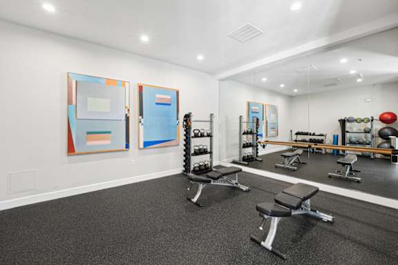 A gym with a row of benches and a wall of mirrors.