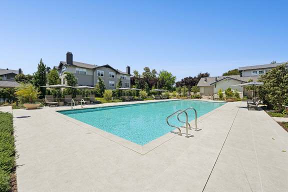 A swimming pool surrounded by a concrete deck and residential houses.