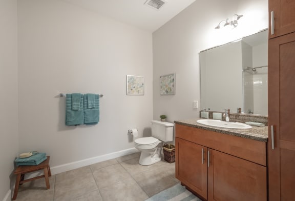 a bathroom with a toilet and a sink and a mirror