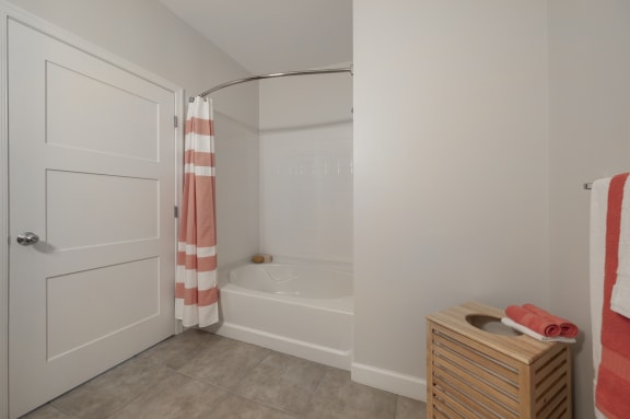 Soaking Tub and Oversized Bathroom Mirror
