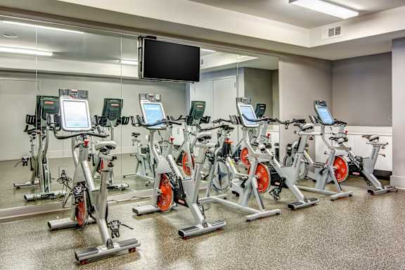 A row of stationary bikes are lined up in a gym.