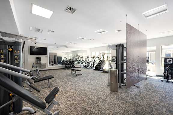 A gym with a variety of equipment including treadmills, weights, and a television.