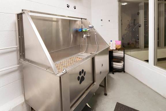 A stainless steel dog kennel with a door and a paw print on the side.