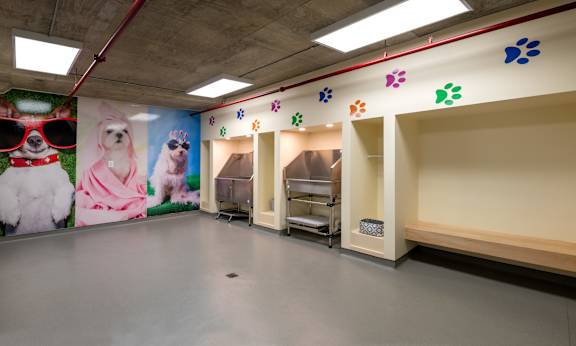 A room with a mural of dogs and a shelf with storage boxes.
