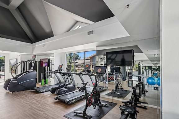 A gym with treadmills, exercise bikes, and a television.