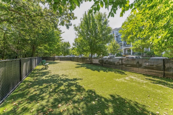 a park with trees and a fence and a grass field