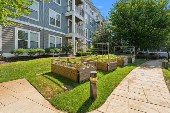 a garden with raised beds in front of an apartment building