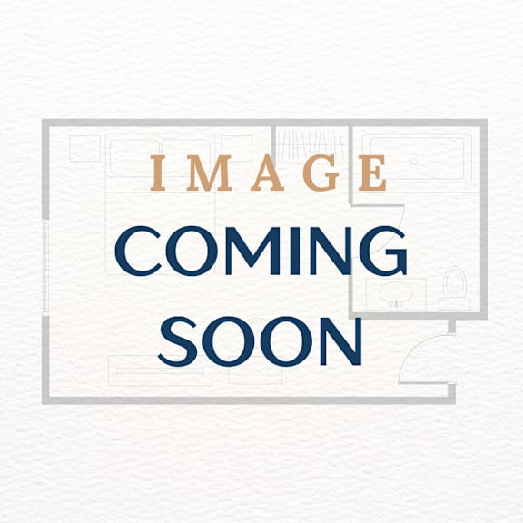 A placeholder image with the text "IMAGE COMING SOON" in the center.