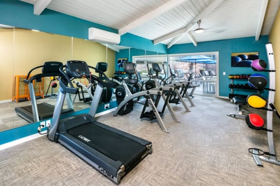 Excellent Fitness Center with Cardio Equipment  and Mirrored Wall  at 1038 on Second in Lafayette, California