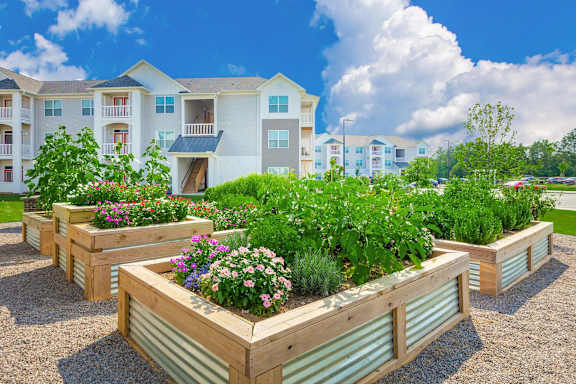 Apartment Complex Garden at Concord Ridge Apartments, North Carolina