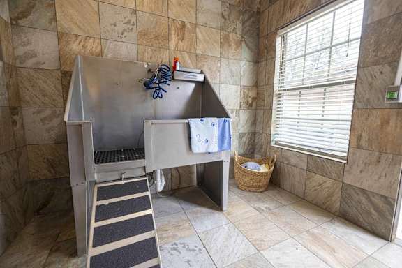 A bathroom with a tiled wall and a shower stall at Pecan Springs, San Antonio