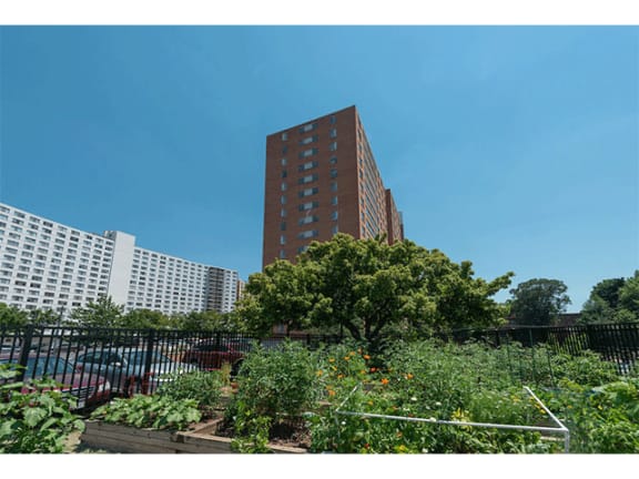 Garden at The Blairs, Silver Spring