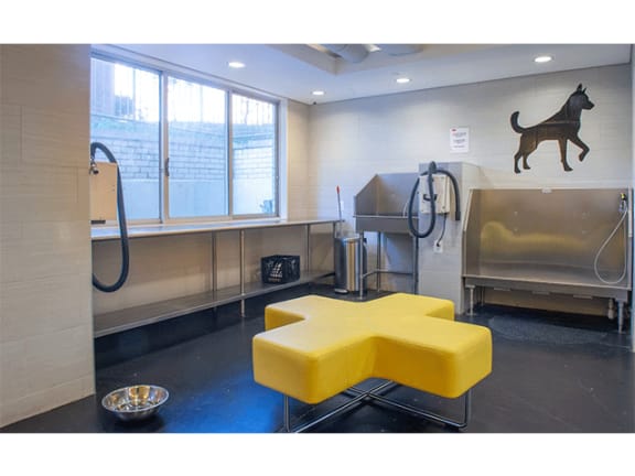Pet Wash at The Blairs, Silver Spring, Maryland