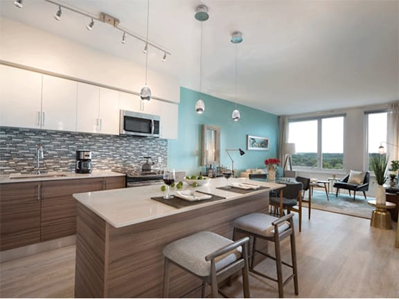 Wood Floor Laminate at The Pearl, Maryland, 20910