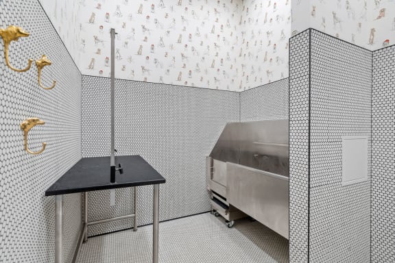 Pet spa at The Hallon luxury apartments in Hopkins, MN