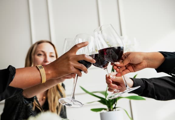 people toasting with wine glasses at a party