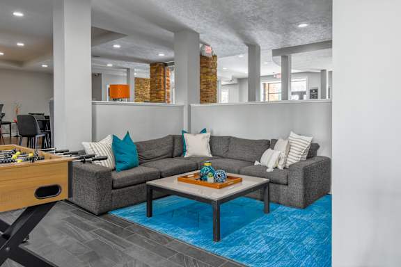 A living room with a grey couch and a blue rug.