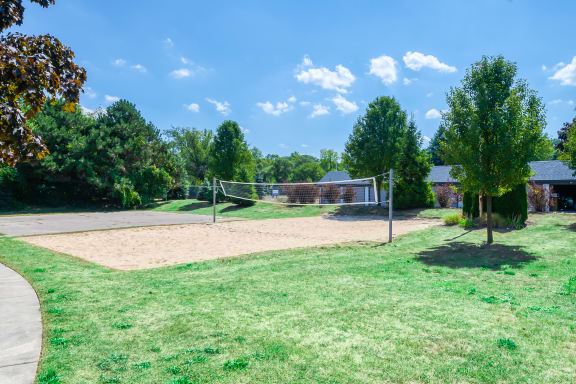 Volleyball Court  at Waterchase Apartments, Michigan