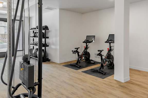 A gym with a row of stationary bikes and a treadmill.