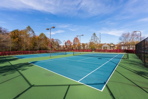 blue tennis court with trees surrounding it