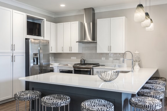 clubhouse kitchen with stainless steel appliances and white cabinets at Annandale Apartment Homes, Murfreesboro, 37128