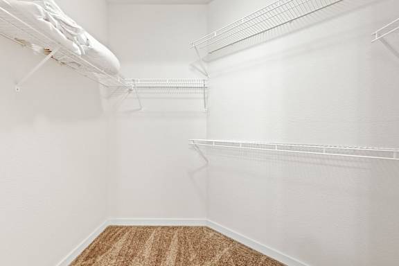 a walk in closet in a 555 waverly unit