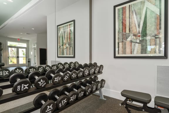 the gym with dumbbells and mirrors on the wall