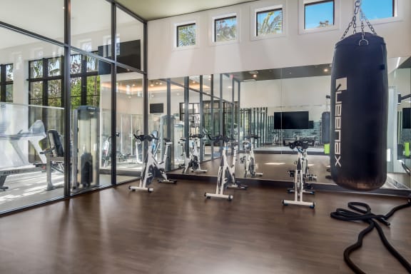 a home gym with a punching bag hanging from the ceiling