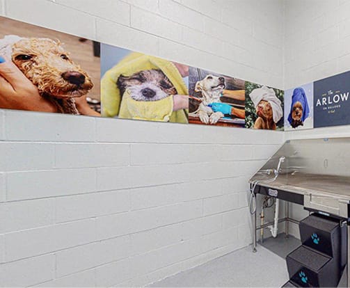 Dog Park at Odyssey, Florida, 33905