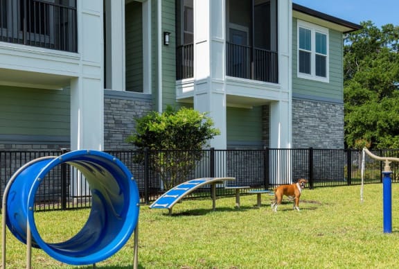 Play at The Addison on Long Bayou Apartments, Florida