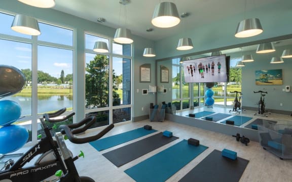 A gym with exercise equipment and a view of the outdoors at The Addison on Long Bayou Apartments, Seminole, 33772