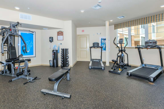 Modern Fitness Center at Riversong Apartment Homes, Florida